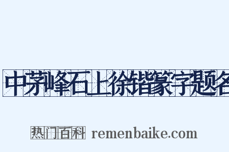 中茅峰石上徐锴篆字题名是什么意思的图片